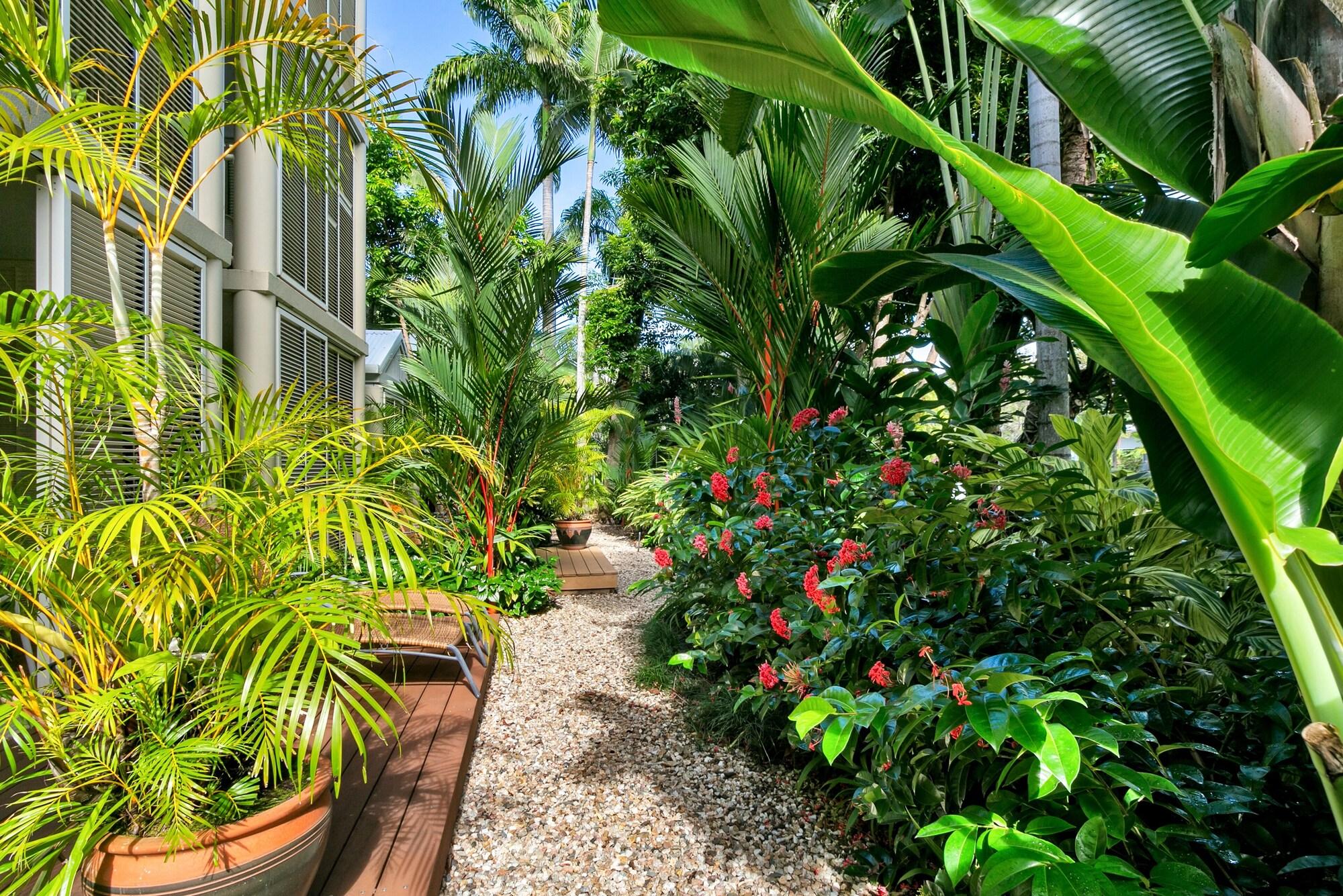 Port Douglas Apartments - Adults Only Oasis Extérieur photo